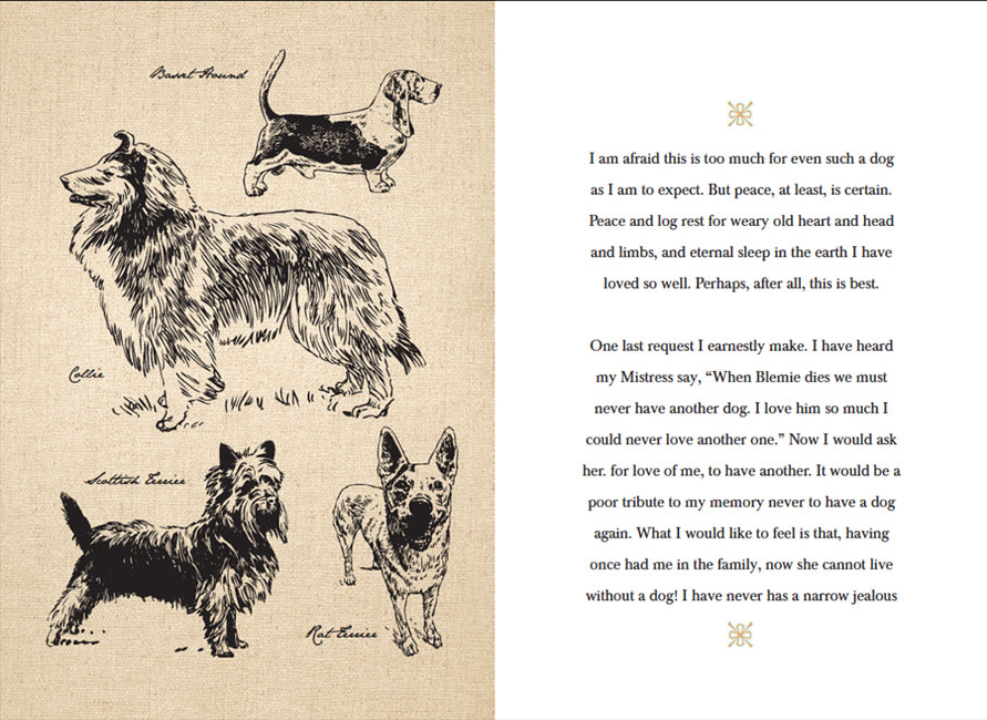 The Last Will and Testament of an Extremely Distinguished Dog | Gingko