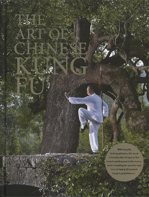 The Art of Chinese Kung Fu