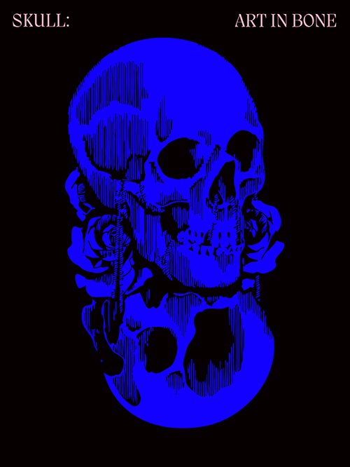 Skull: Art in Bone
